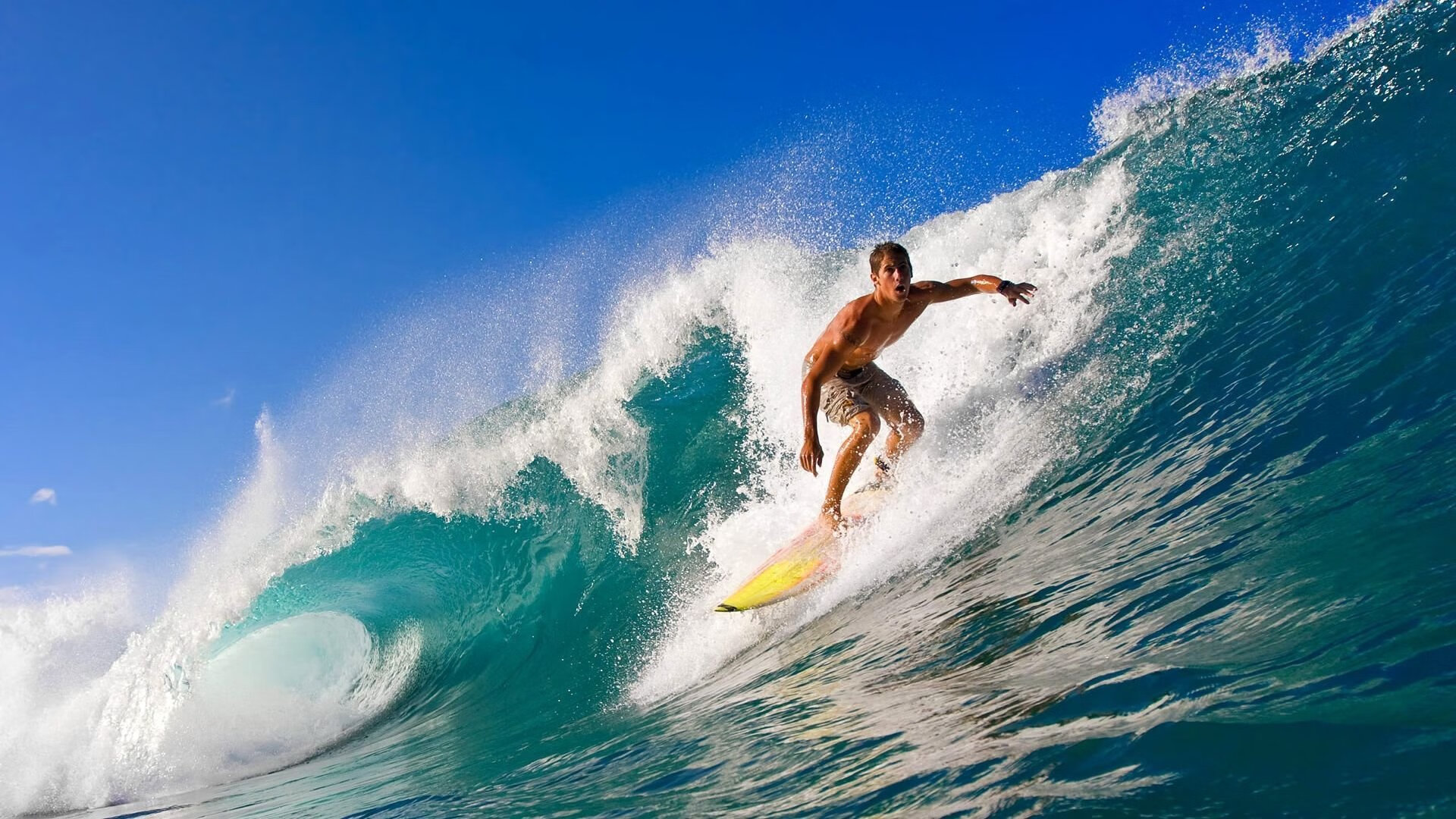 好戏连台:澳大利亚女足队傲视群雄,澳大利亚女足国家队