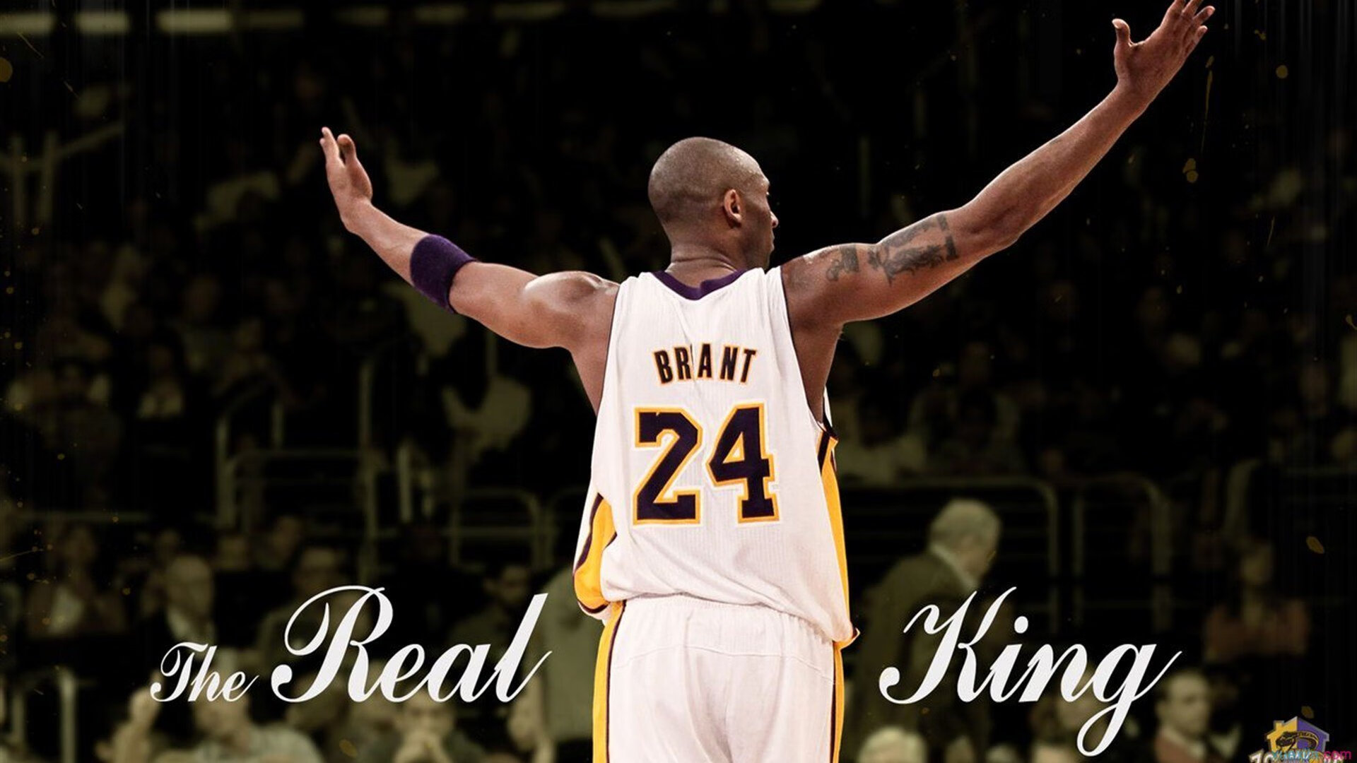 NBA赛季助攻王排行榜，nba本赛季助攻王